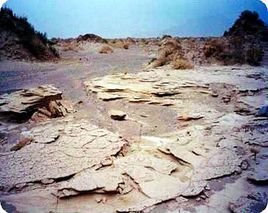 湖泊沉积