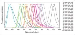 alexa fluor系列荧光染料发射光谱